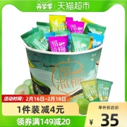 【肖战推荐】溜溜梅国风全家桶480g雪梅乌梅原味青梅绿茶味梅礼包